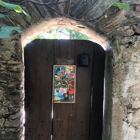 Atelier D'artiste Au Coure De La Montagne Noire * Cabrespine